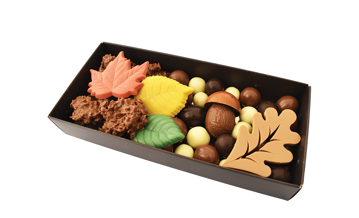 Coffret Automne 2024