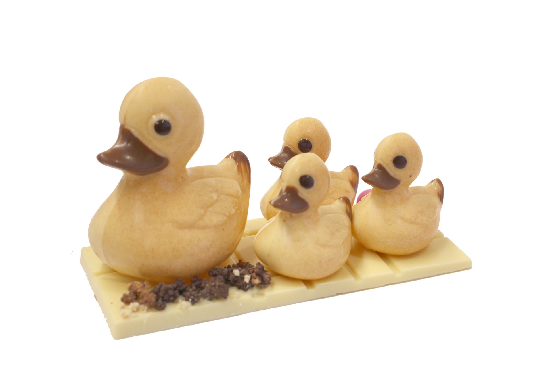 Famille canard Blanc