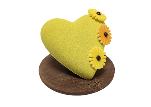 COEUR VELOURS