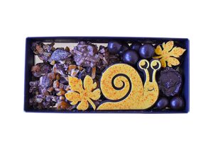 COFFRET AUTOMNE