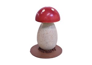 MONTAGE CHAMPIGNON